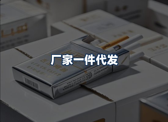 专业团队办公环境
